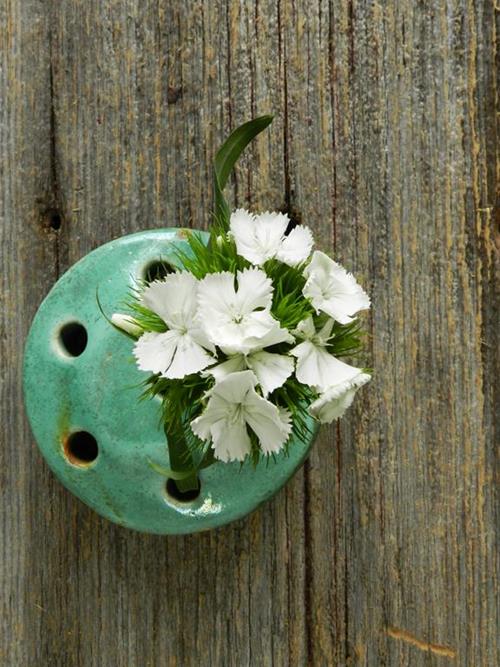 GYPSY WHITE DIANTHUS